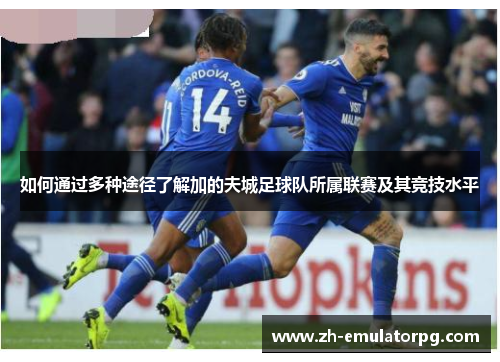 如何通过多种途径了解加的夫城足球队所属联赛及其竞技水平